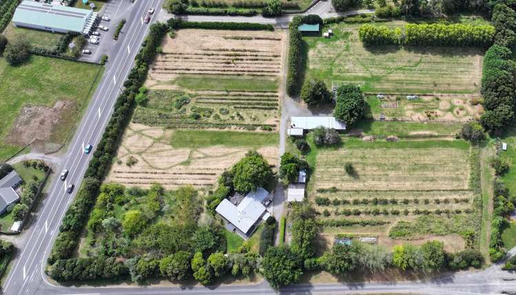 2466 State Highway 2 Greytown_19