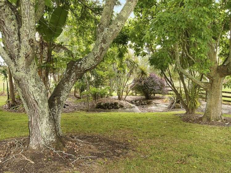 197 Kohanga Road Te Kohanga_12