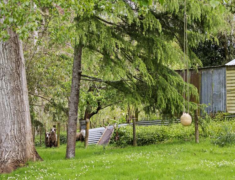 867 Tuakau Bridge-Port Waikato Road Te Kohanga_13