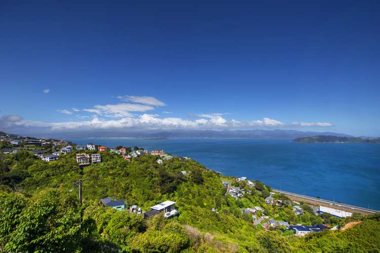 118a Nicholson Road Khandallah_14