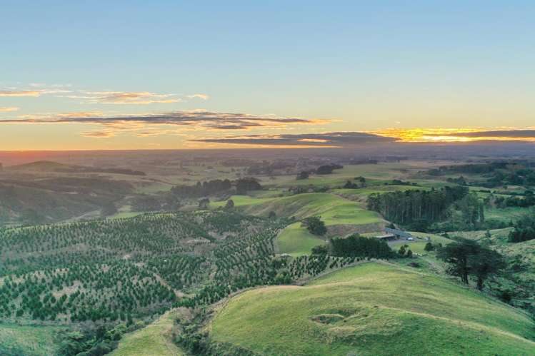 68a Greens Road Linton_6