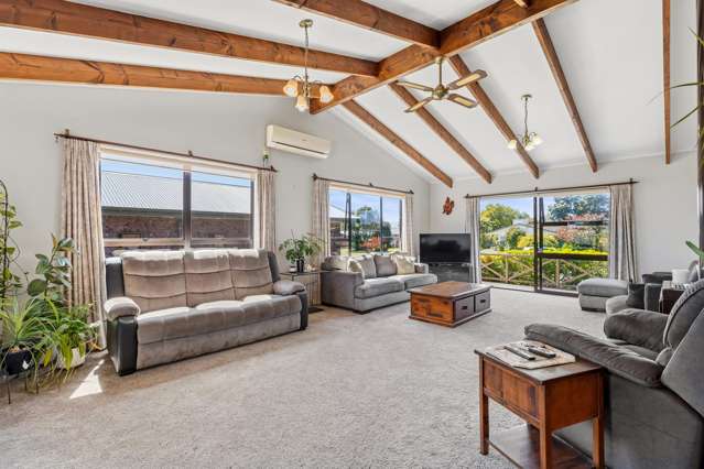 59 Sheffield Street Matamata_1