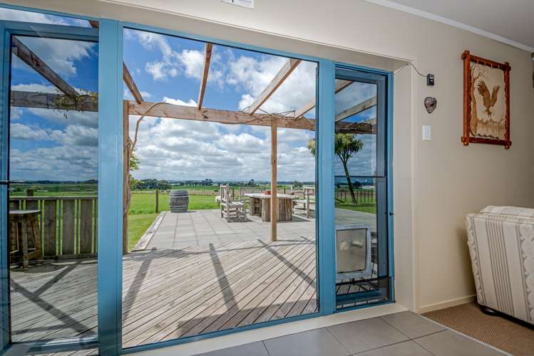 47 Viles Road Bulls_16