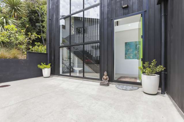 102 Balmain Road Chatswood_1