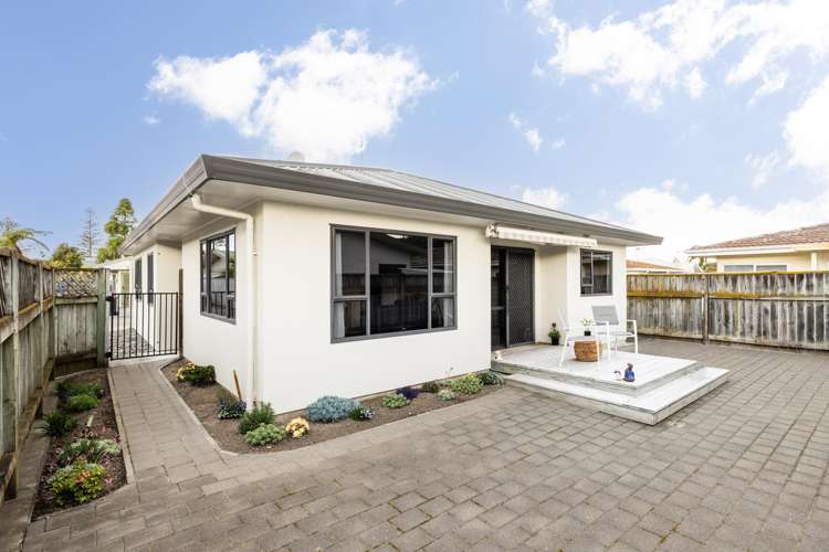 139B Nelson Crescent Napier South_0