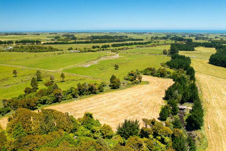 398 Wiremu Road Te Kiri_15