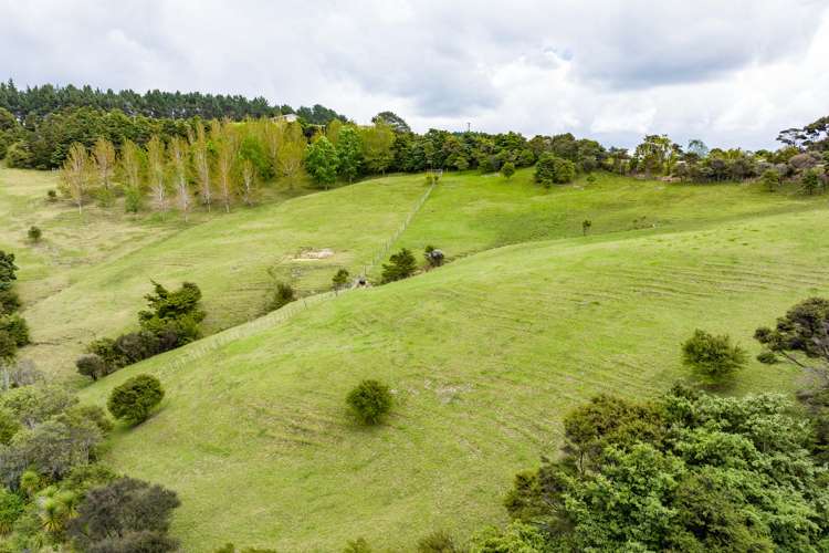 827 Tinopai Road Tinopai_36