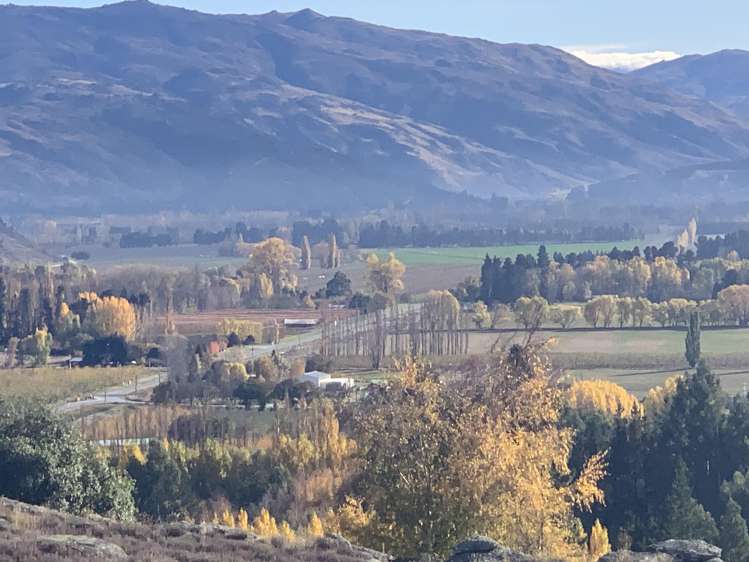 196 Chapman Road Alexandra_25