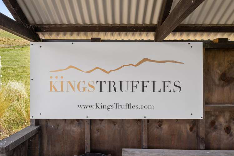 101 Laidmore Road Broomfield_10