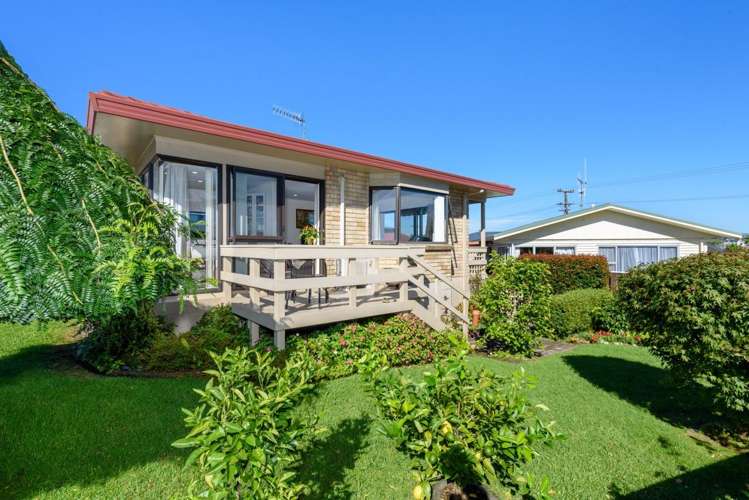 2a Camellia Place Greerton_11