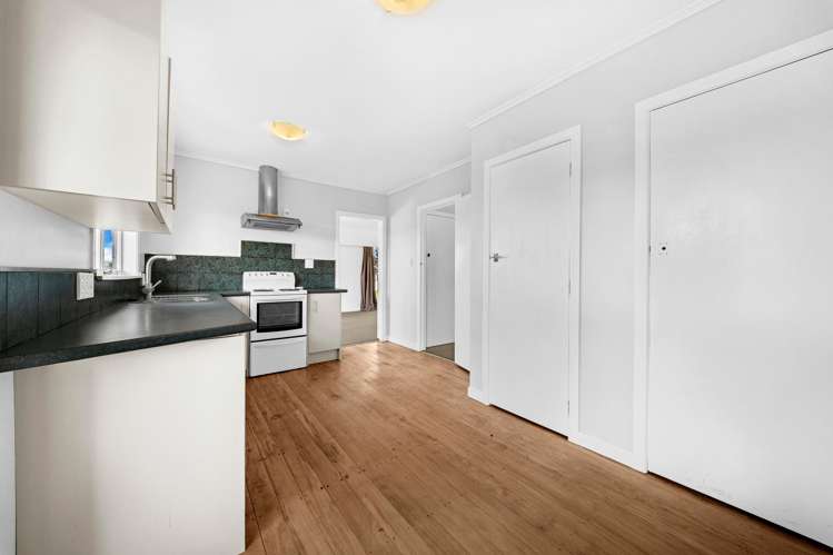 52 Carlton Street Hillsborough_14