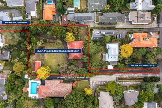 305A Mt Eden Road Mt Eden_1