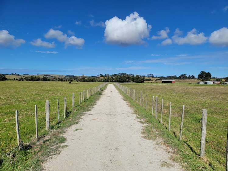 1919 Pouto Road Te Kopuru_19