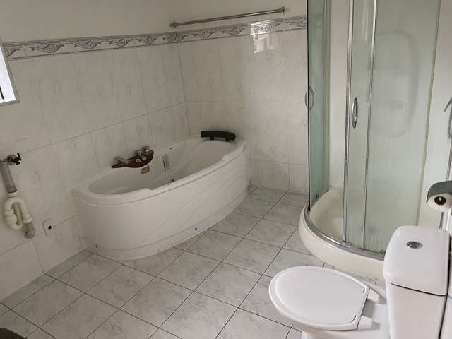 17A Raphoe Road Flat Bush_4