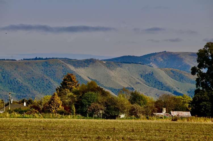 Willowbridge Road Waimate_14