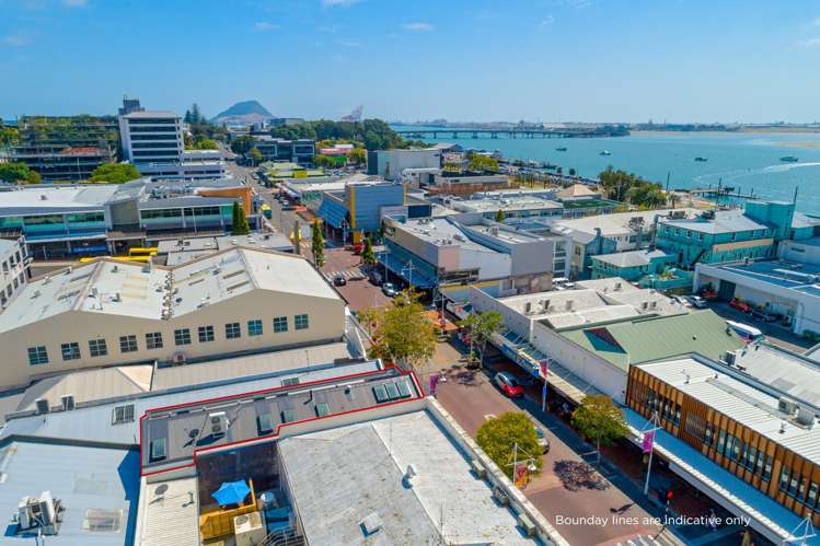 133 Willow Street Tauranga Central_8