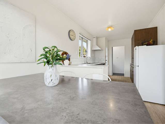 17 Culverdon Street Dinsdale_2