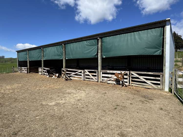 530 Mangatutu Rd RD3 Maihiihi_29