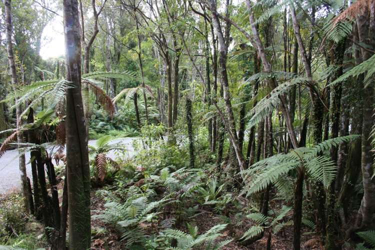 25 Hartmount Place Punakaiki_20