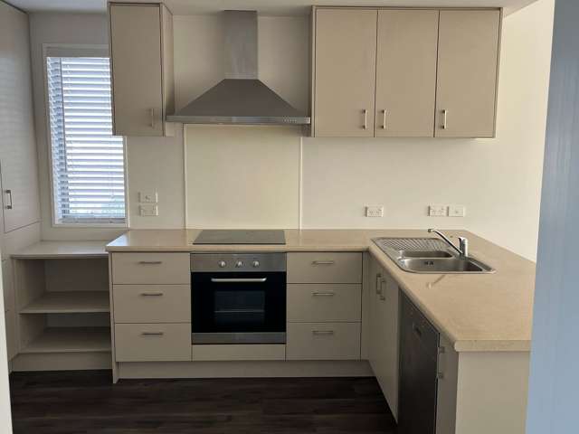 9E Hastings Street West Sydenham_3
