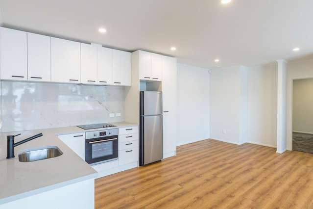 3/121 Great South Road 1677_1