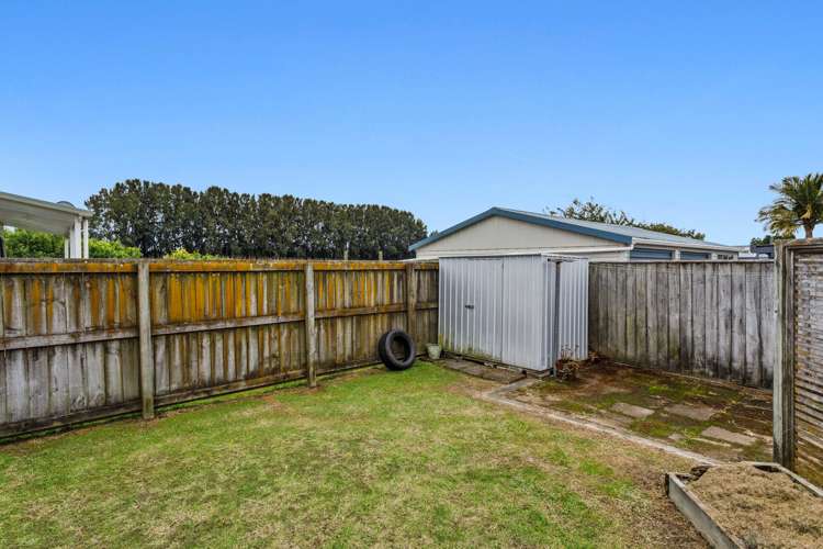 142 College Road Edgecumbe_13