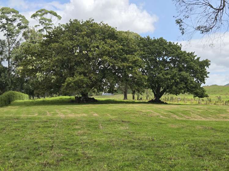 Lot 2 6627 State Highway 1 Pakaraka_8