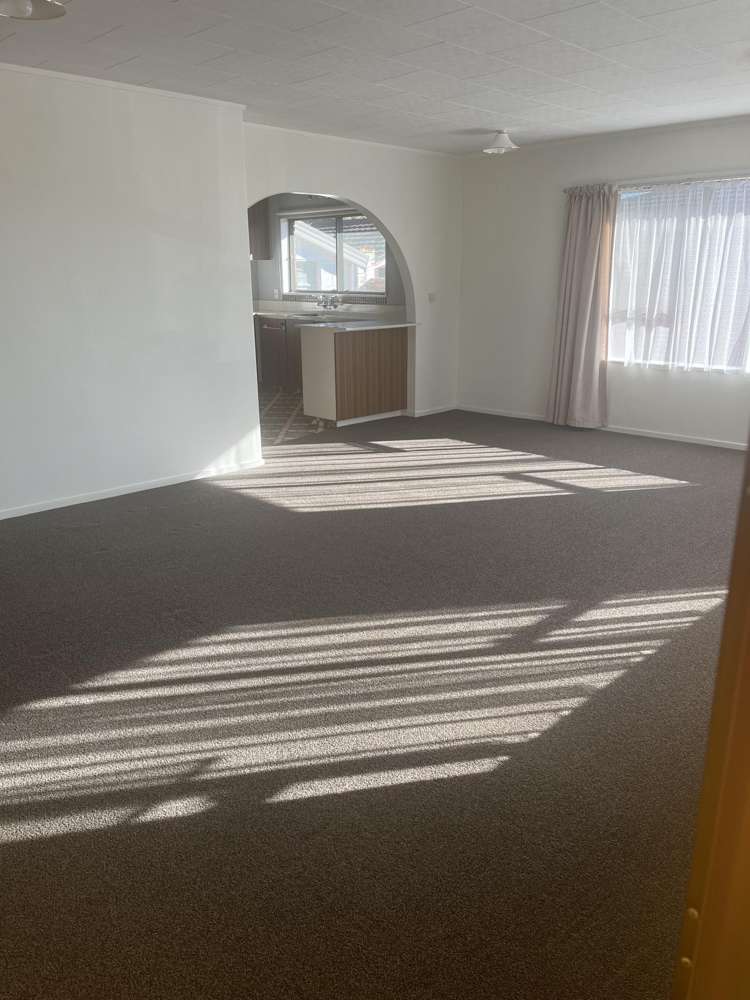 2/3 Exeter Street Stoke_6