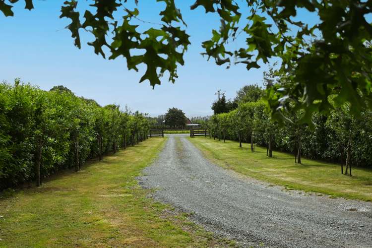 213 Te Whiti Road Masterton_19