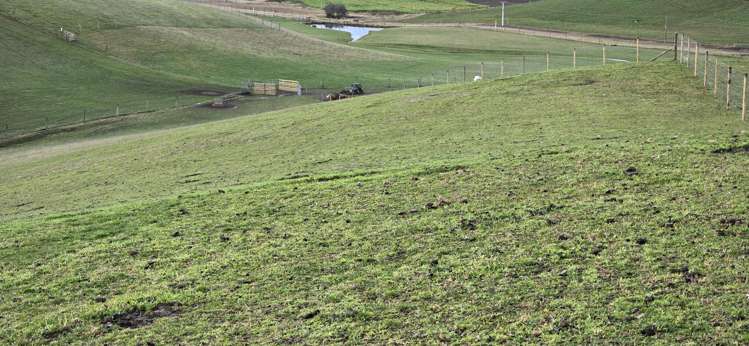 74 Esler Road Pleasant Point_11