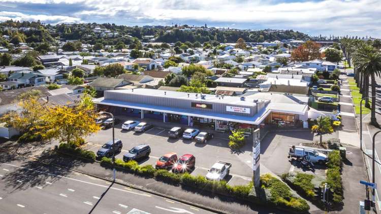 83 Kennedy Road Napier South_1