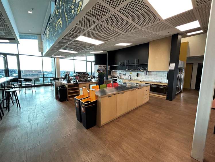 4 Williamson Avenue Ponsonby_10