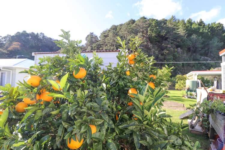 101 Fergusson Drive Thames_20