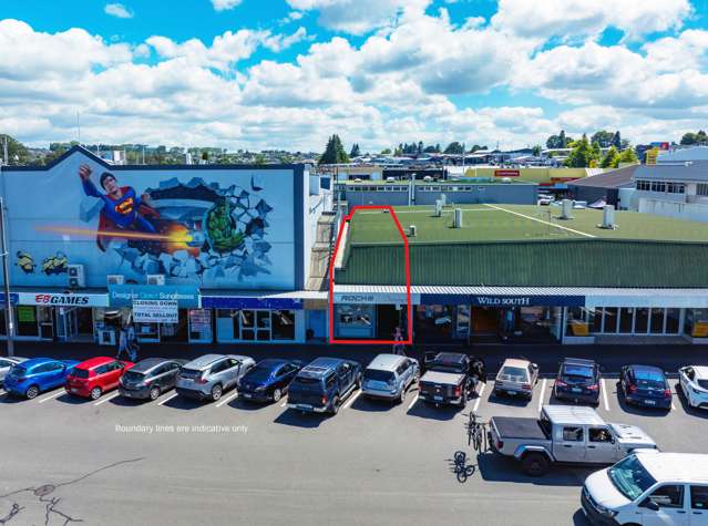 34 Horomatangi Street Taupo_2