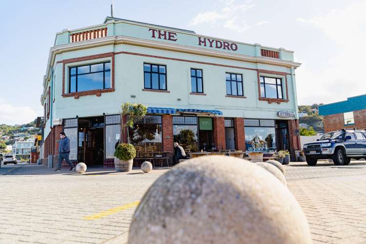 246 Forbury Road Saint Clair_7