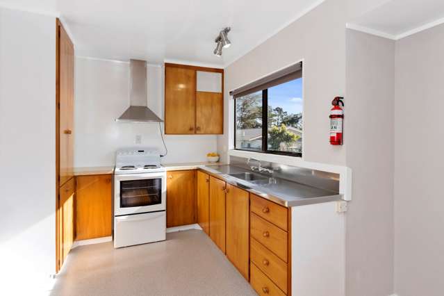 54a Prospect Terrace Pukekohe_3