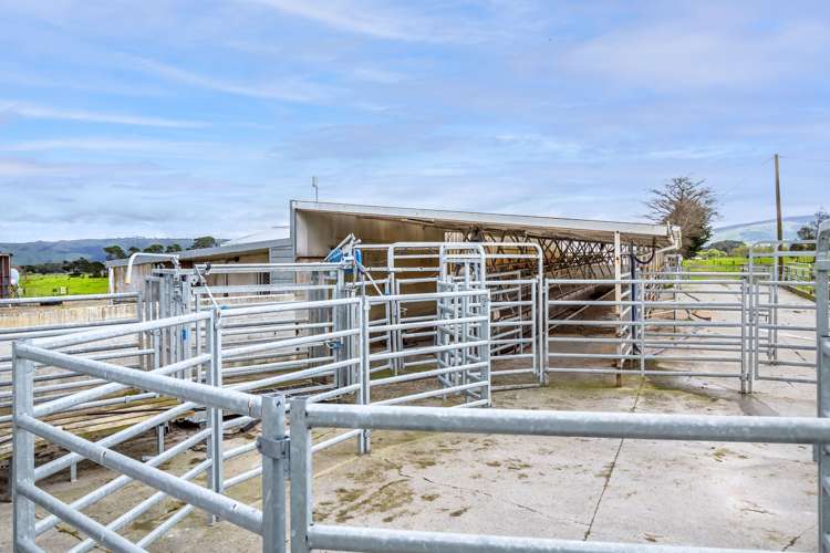 168 Range Road Woodville_17