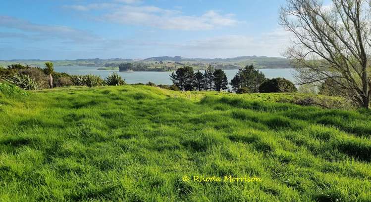 224A Petley Road Paparoa_58