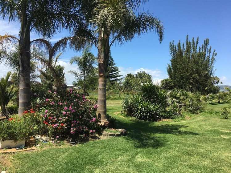 27 Heawa Road Dargaville Surrounds_17