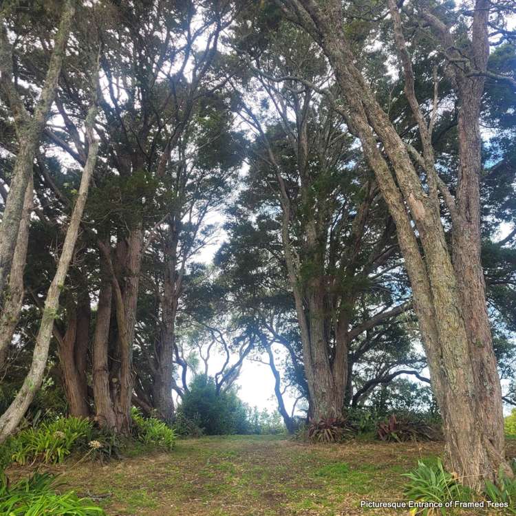 1 Buckleys Track_5