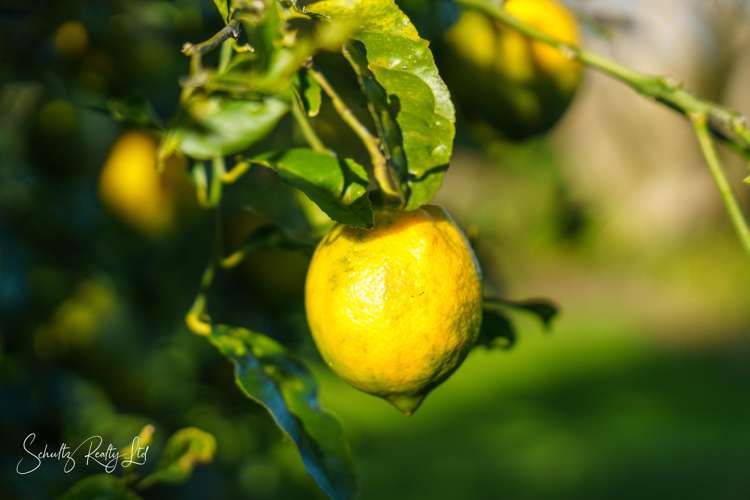 1181 State Highway 12 Maungaturoto_35