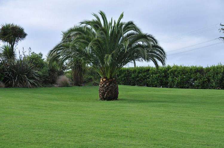 46 Kellys Road Whitford_17