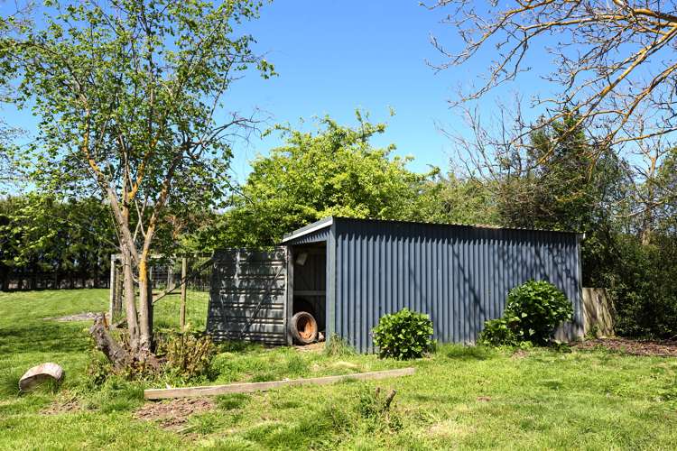 87 York Road Longlands_18