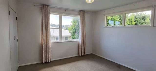 91 Webster Avenue Mount Roskill_2