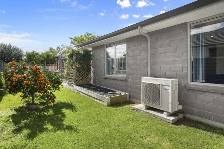 22b Clive Road Katikati_19