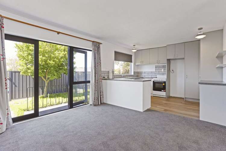 27A Banks Street Amberley_3