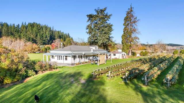 20 Neudorf Road Upper Moutere_1