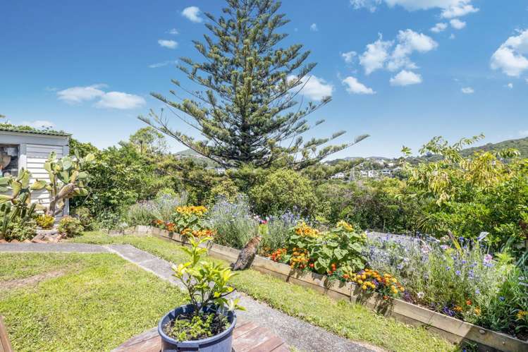 23 Sydenham Street Northland_14