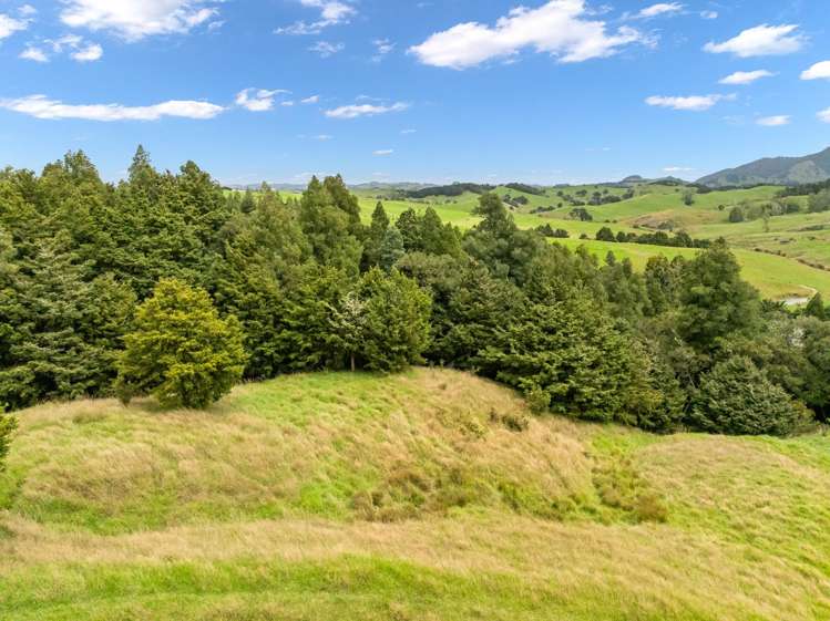 Hayward Road Maungakaramea_8