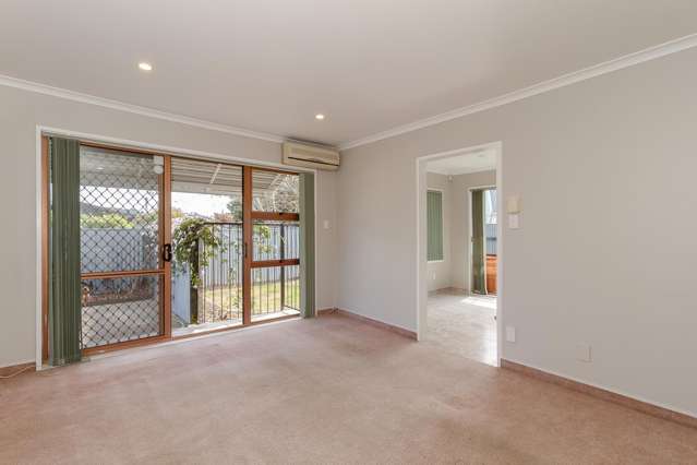 9C Nikau Street Taradale_3